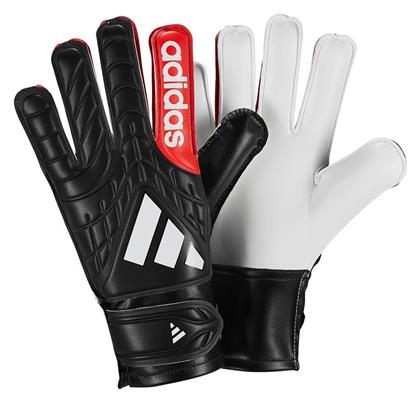 adidas Copa Gl Clb Γάντια Τερματοφύλακα Ενηλίκων - Adidas