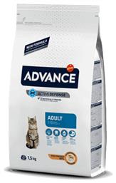 Advance Adult Affinity