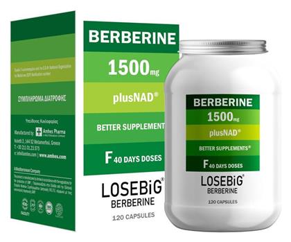 Losebig Berberine 1500mg 120 κάψουλες Amhes