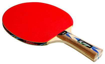 Ρακέτα Ping Pong για Αρχάριους Παίκτες Αθλοπαιδιά