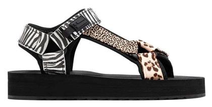 D.Franklin - D Franklin