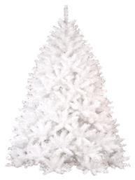 Δέντρο Colorado - Iliadis