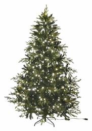 Δέντρο North Star - Iliadis