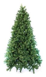 Δέντρο Πάικο - Eurolamp