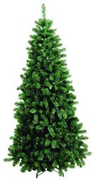 Δέντρο Παρνασσός - Lianos