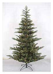 Δέντρο REAL FIR - Iliadis