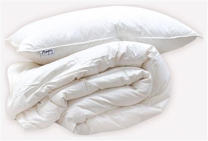 Basics 50/50 Rythmos