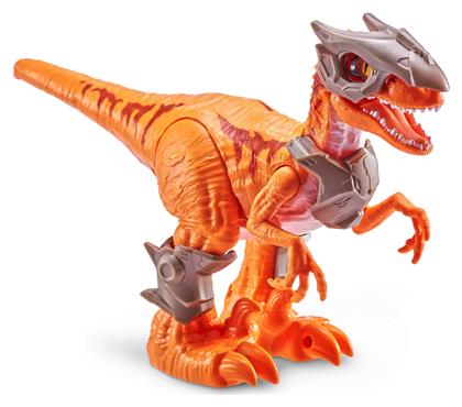 Zuru Zuru Robo Alive Dino Wars Raptor για 3+ Ετών