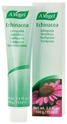 A.Vogel Echinacea για Ουλίτιδα 100ml - A Vogel