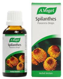 A.Vogel Spilanthes Σταγόνες 50ml - A Vogel