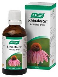 A.Vogel Βάμμα Echinaforce Echinacea Drops Εχινάκεια 50ml - A Vogel