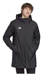 adidas - Adidas