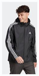 adidas Μπουφάν - Adidas