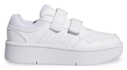 adidas Hoops Λευκά - Adidas