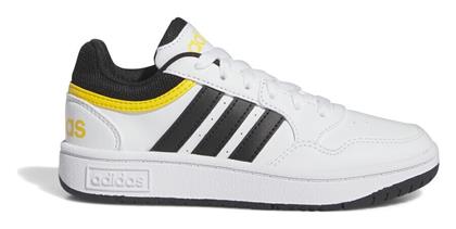 adidas Hoops White / Core / Bold Gold - Adidas