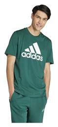 adidas Single Jersey Big T-shirt - Adidas
