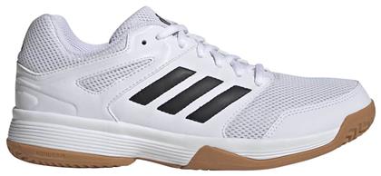 Speedcourt Γυναικεία Αθλητικά Παπούτσια Βόλεϊ Λευκό Adidas