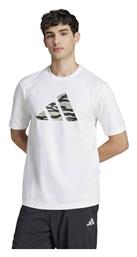 adidas T-shirt Λευκό - Adidas
