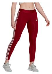 Training Γυναικείο Cropped Κολάν Μπορντό Adidas