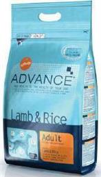 Lamb - Rice 12kg Advance