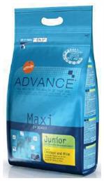 Maxi Junior 15kg Advance