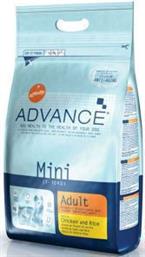 Mini Adult 3kg Advance