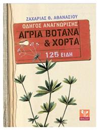 Άγρια βότανα και χόρτα, Οδηγός αναγνώρισης: 125 είδη - Ψύχαλος