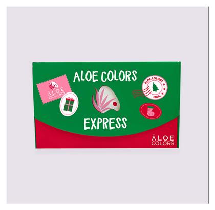 Advent Calendar 2025 Advent Calendar Aloe Colors