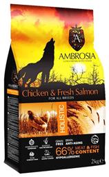 Ambrosia Chicken & Fresh Salmon All Breeds 12kg Ξηρά Τροφή χωρίς Σιτηρά για Ενήλικους Σκύλους με Σολομό και Κοτόπουλο από το Plus4u