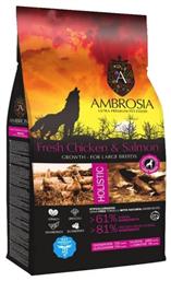 Fresh Chicken & Salmon Growth Large Breeds 12kg Ambrosia