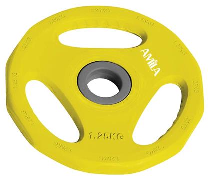AMILA Pump Rubber Δίσκος Λαστιχένιος 1 x 1.25kg Φ28mm με Λαβές - Amila