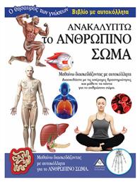 Ανακαλύπτω το ανθρώπινο σώμα - Τζιαμπίρης Πυραμίδα