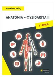 Ανατομία-Φυσιολογία II - 24 γράμματα