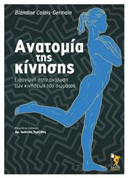 Ανατομία της κίνησης, Εισαγωγή στην ανάλυση των κινήσεων του σώματος - Σάλτο