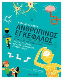 Ανθρώπινος Εγκέφαλος, από τις Λειτουργίες του Εγκεφάλου στην Τεχνητή Νοημοσύνη - Διόπτρα