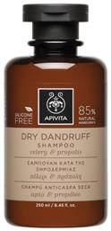 Dandruff Σαμπουάν Kατά της Πιτυρίδας & της Ξηροδερμίας 250ml Apivita