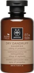 Apivita Dry Dandruff Σαμπουάν κατά της Πιτυρίδας για Ξηρά Μαλλιά 250ml από το Pharm24