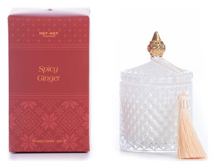 Αρωματικό Κερί Spicy Ginger 200gr Red Nef-nef Homeware - Nef Nef