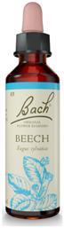 Beech Ανθοΐαμα σε Σταγόνες 20ml Bach