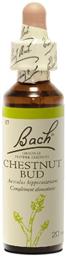 Chestnut Bud Ανθοΐαμα σε Σταγόνες 20ml Bach