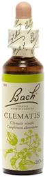 Clematis Ανθοΐαμα σε Σταγόνες 20ml Bach