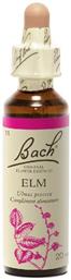 Elm Ανθοΐαμα σε Σταγόνες 20ml Bach