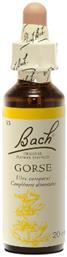 Gorse Ανθοΐαμα σε Σταγόνες 20ml Bach