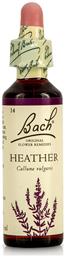 Heather Ανθοΐαμα σε Σταγόνες για Χαλάρωση 20ml Bach