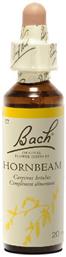Hornbeam Ανθοΐαμα σε Σταγόνες 20ml Bach