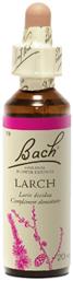 Larch Ανθοΐαμα σε Σταγόνες 20ml Bach