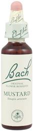Mustard Ανθοΐαμα σε Σταγόνες 20ml Bach