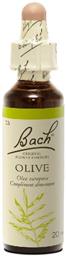Olive Ανθοΐαμα σε Σταγόνες 20ml Bach
