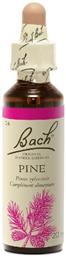 Pine Ανθοΐαμα σε Σταγόνες 20ml Bach
