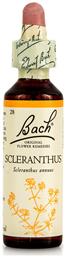 Scleranthus Ανθοΐαμα σε Σταγόνες 20ml Bach